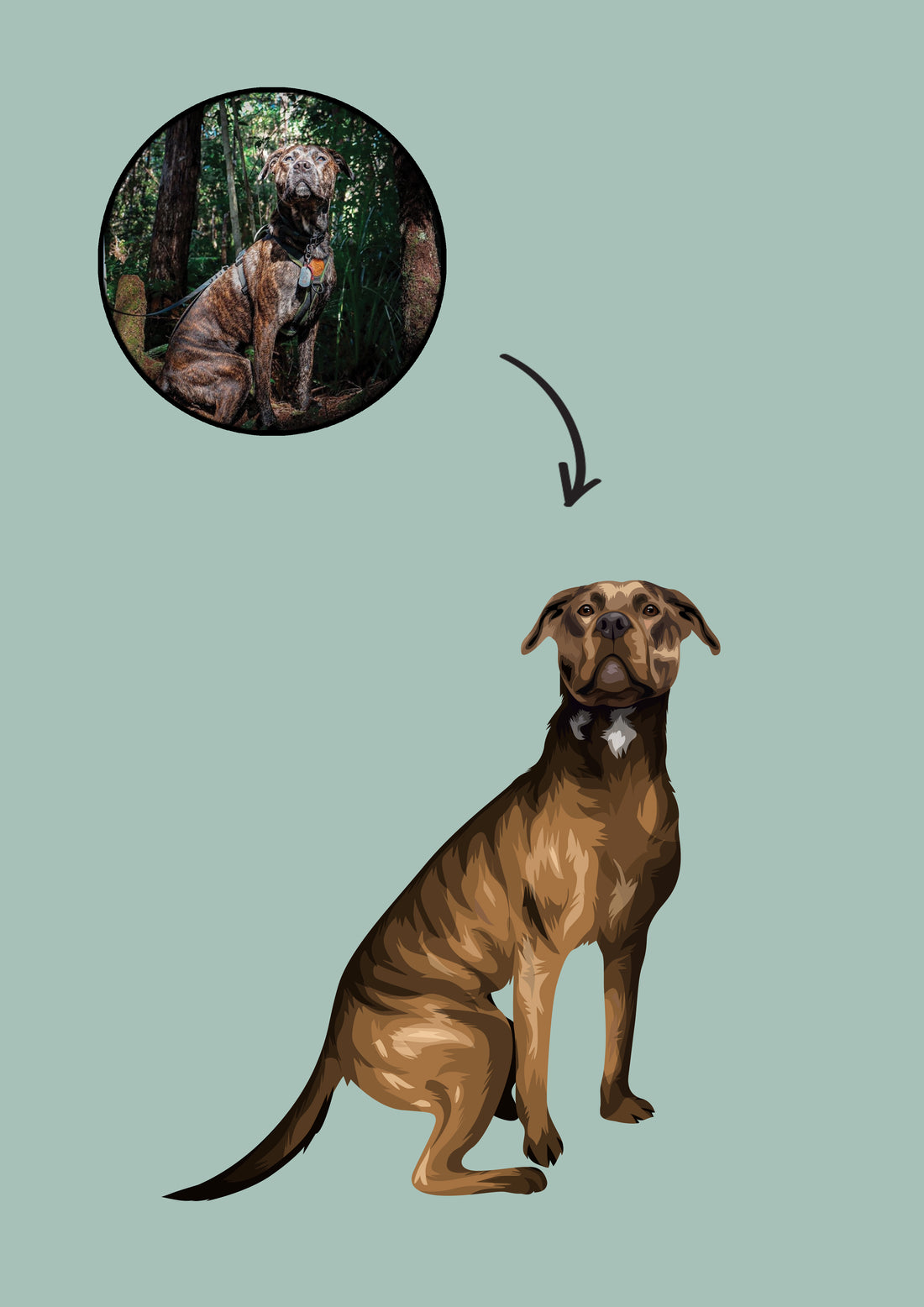 mixed breed custom pet portrait gift
