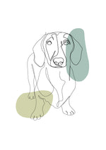 Line Portrait