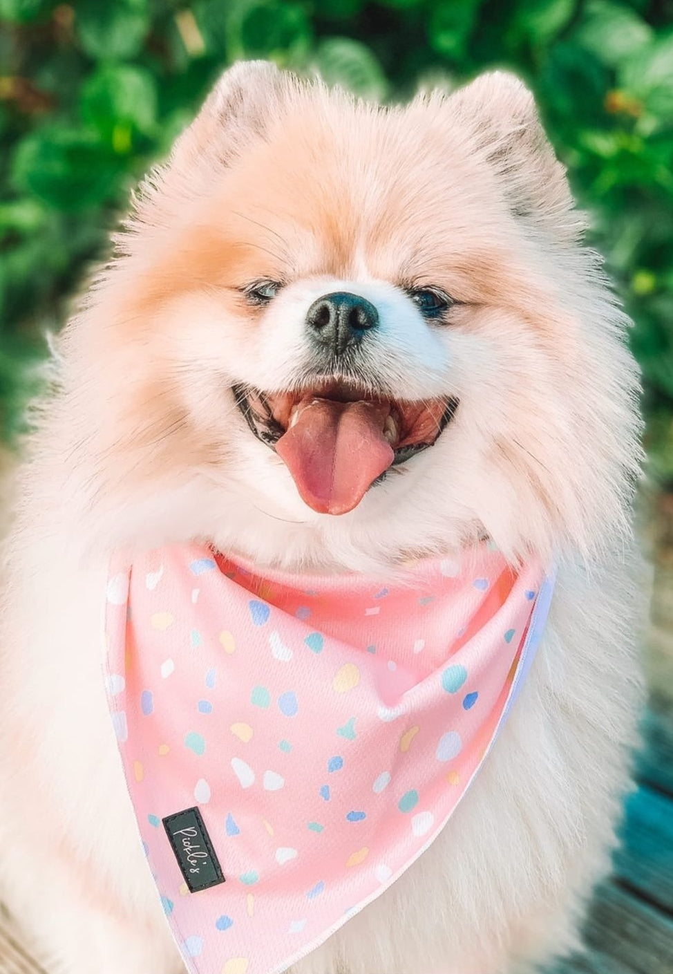 Mesh Cooling Bandanas