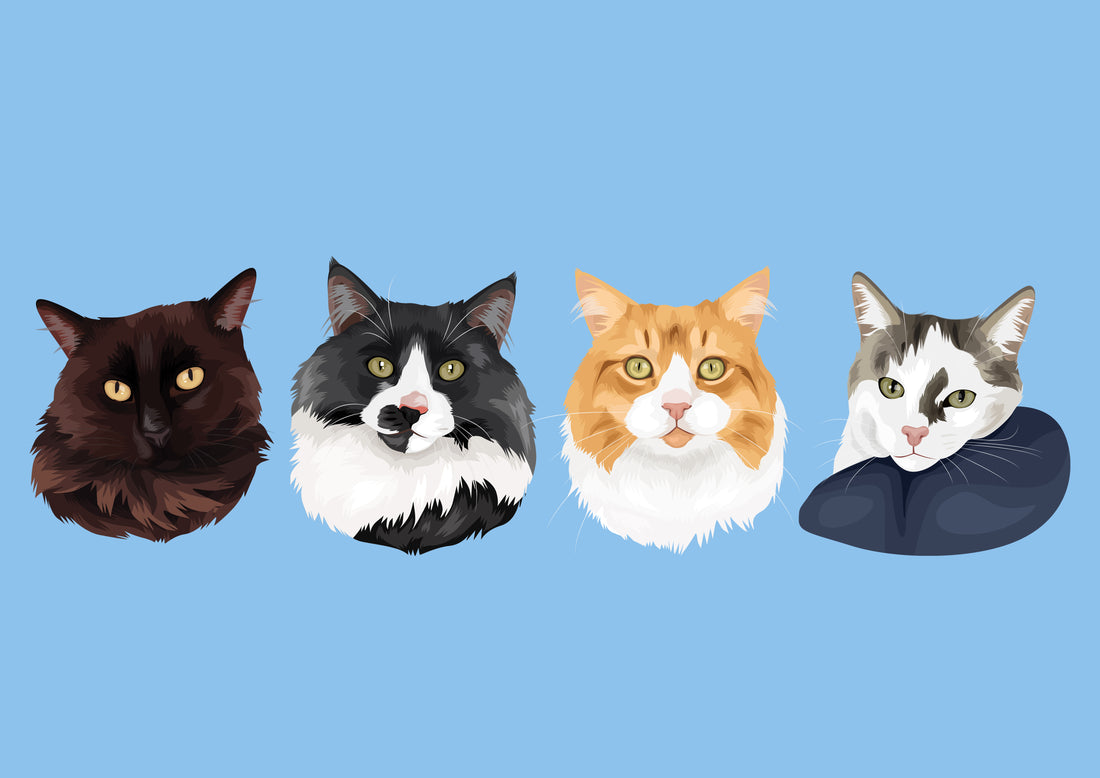 cats custom pet portrait gift