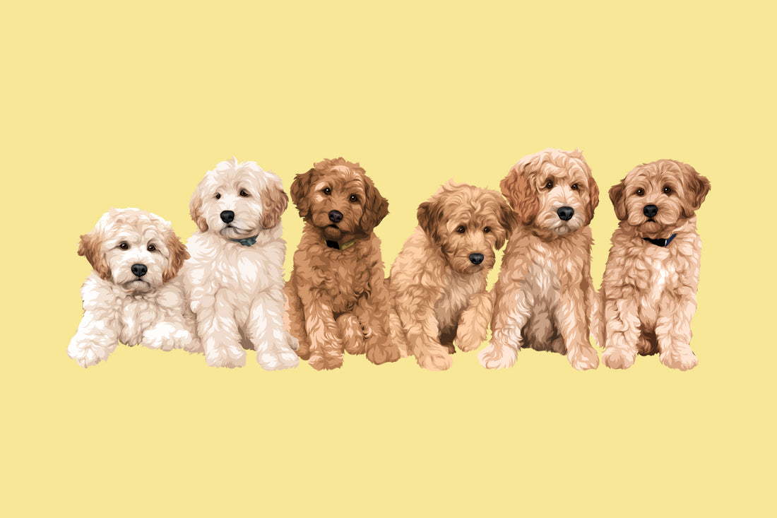 labradoodle dog custom pet portrait gift