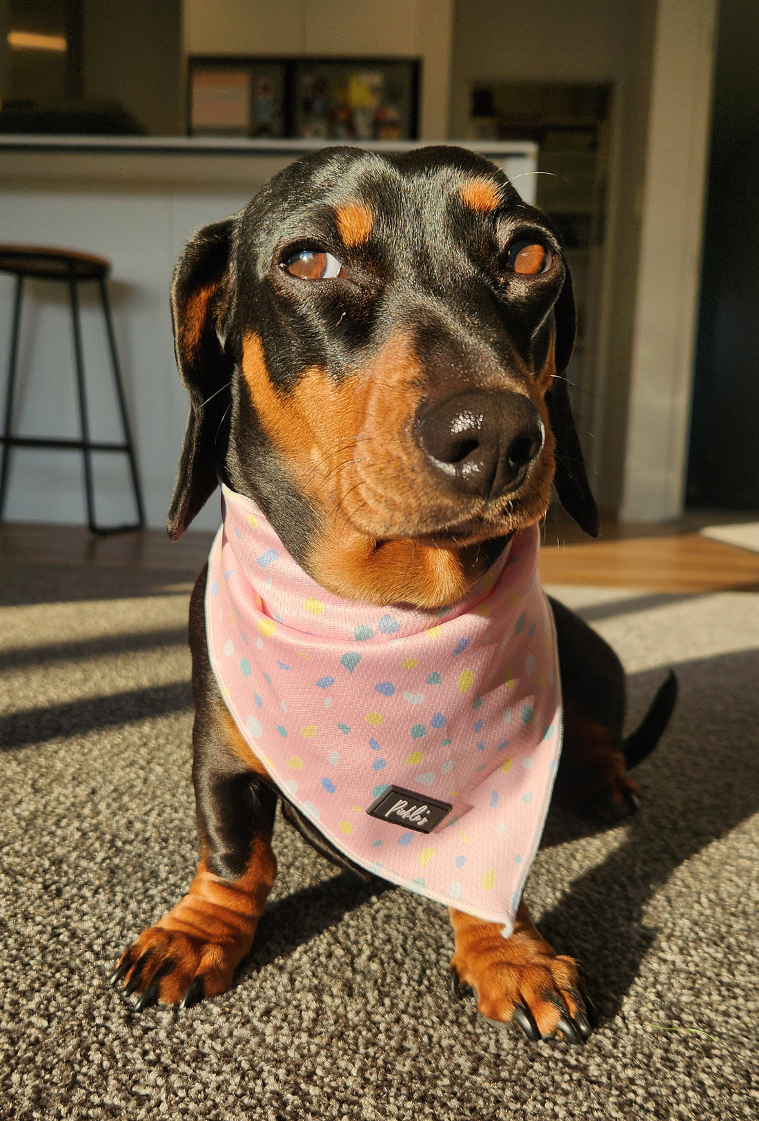 Mesh Cooling Bandanas