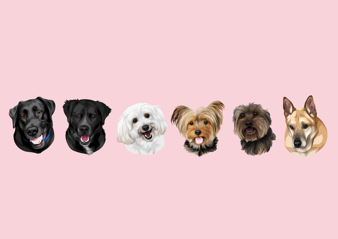 yorkshire terrier maltese bichon wolf dog custom pet portrait gift