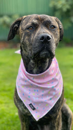 Mesh Cooling Bandanas