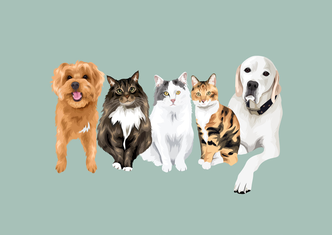 labradoodle cats dog custom pet portrait gift