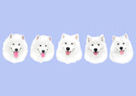 samoyed dog custom pet portrait gift