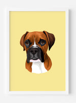 Pet Portrait
